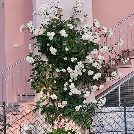 A Casa Di Albino E Giovannina