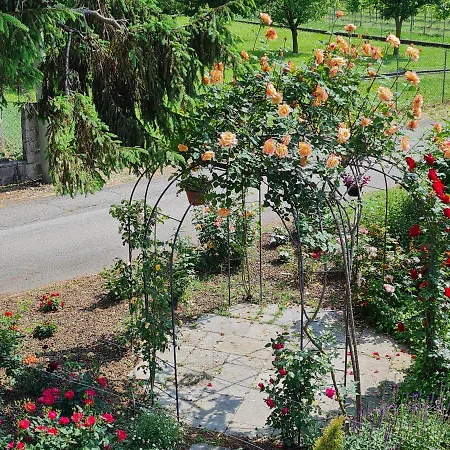 A Casa Di Albino E Giovannina Holiday home