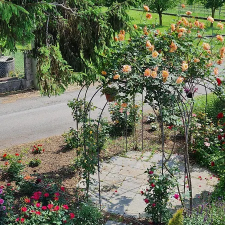 A Casa Di Albino E Giovannina