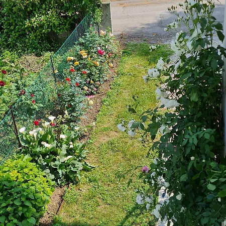 Hébergement de vacances A Casa Di Albino E Giovannina